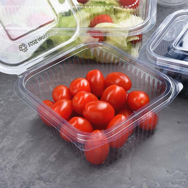 Kapaklı Kase / Salata Kaşesi - Köşeli 500 ml - 50 Adet